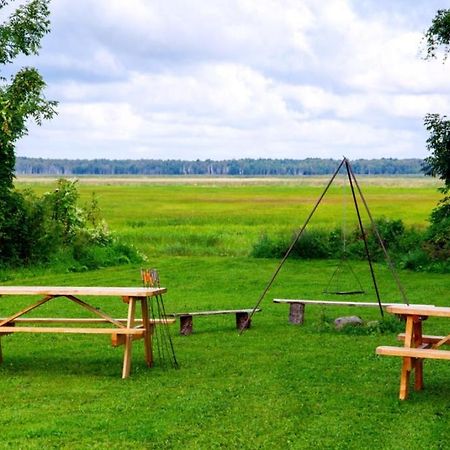 Wilcza Nora - Pole Biwakowe Hotel Dolistowo Nowe Esterno foto
