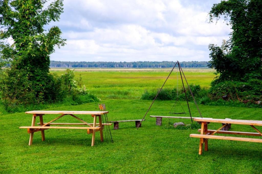 Wilcza Nora - Pole Biwakowe Hotel Dolistowo Nowe Esterno foto